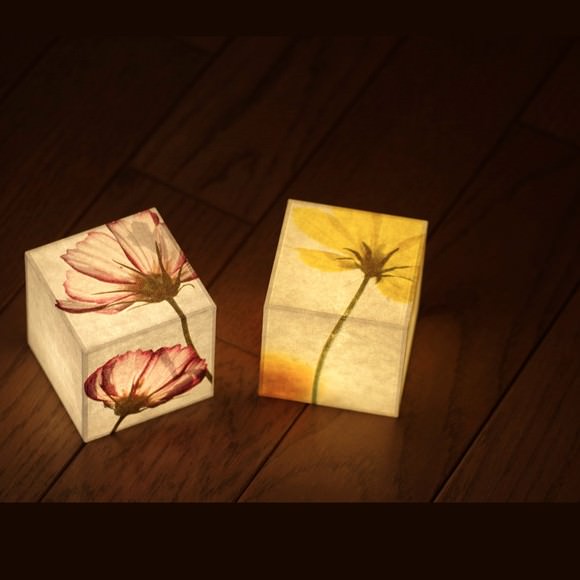 花のささやき コスモスのキューブキャンドル